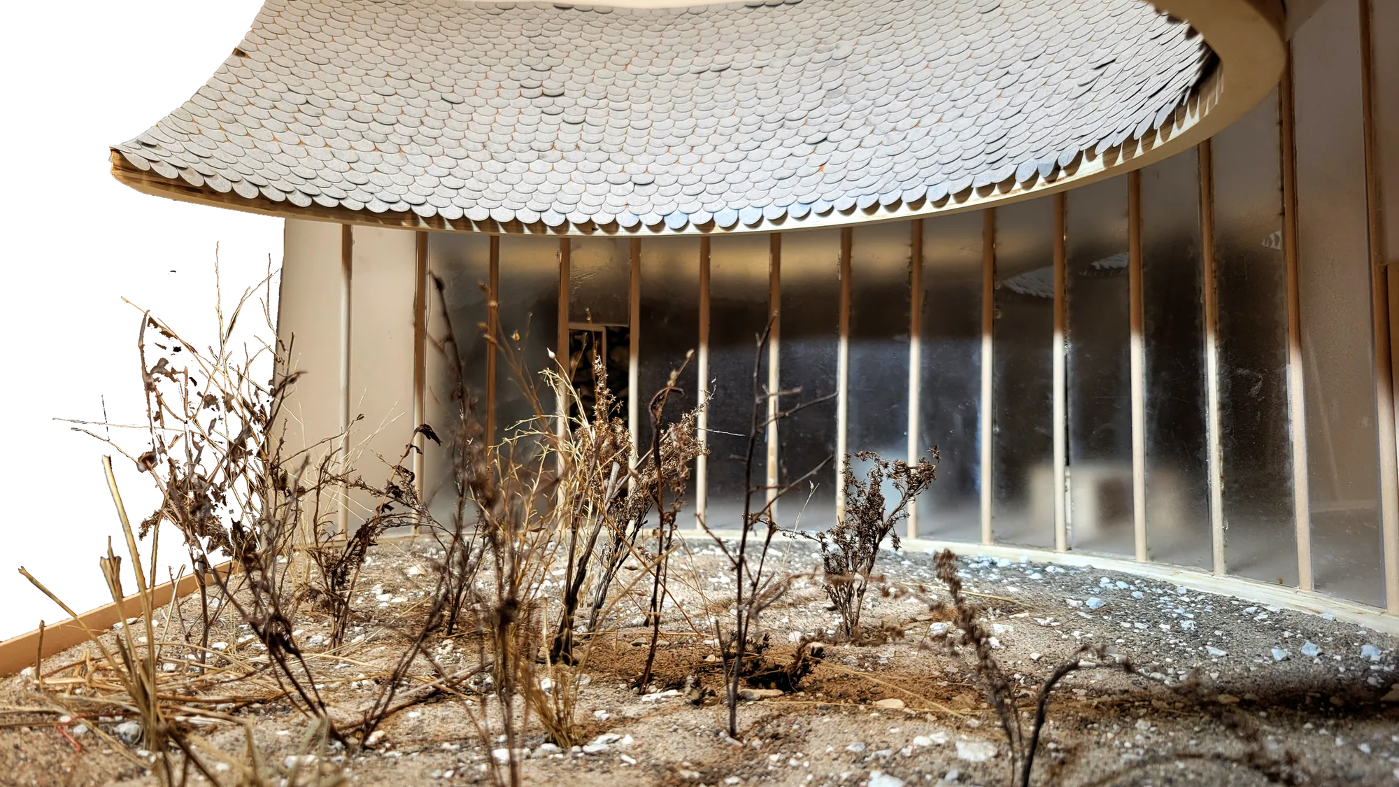 site, matter, & ecology, image 4