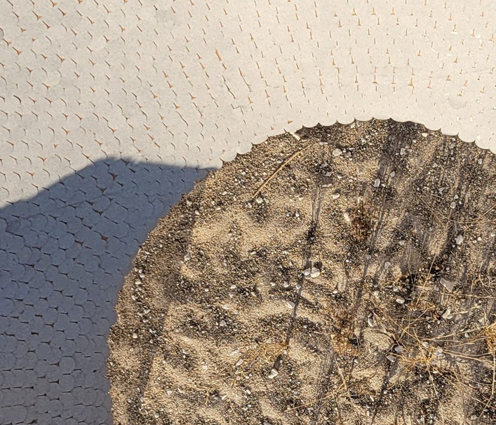 site, matter, & ecology, image 10
