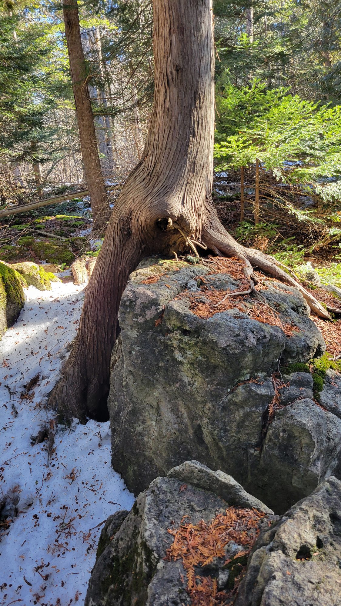 site, matter, & ecology, image 13