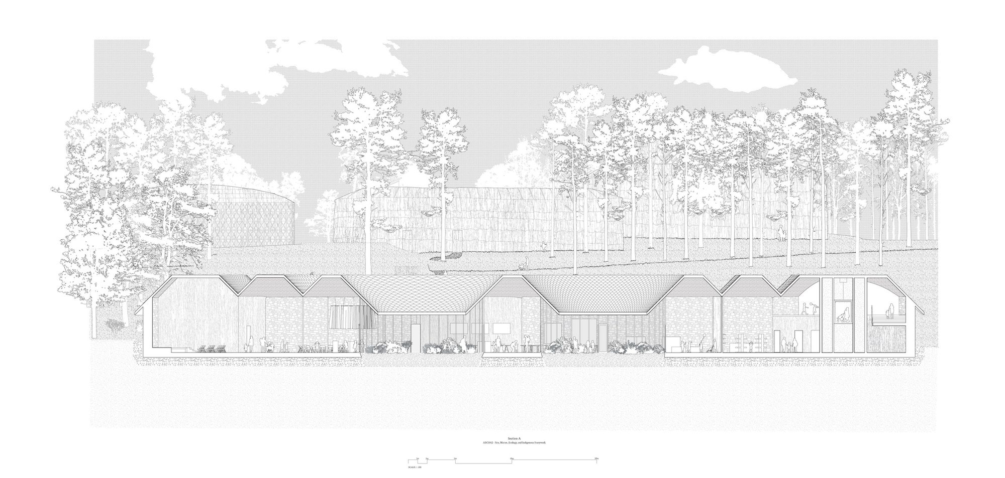 site, matter, & ecology, image 17