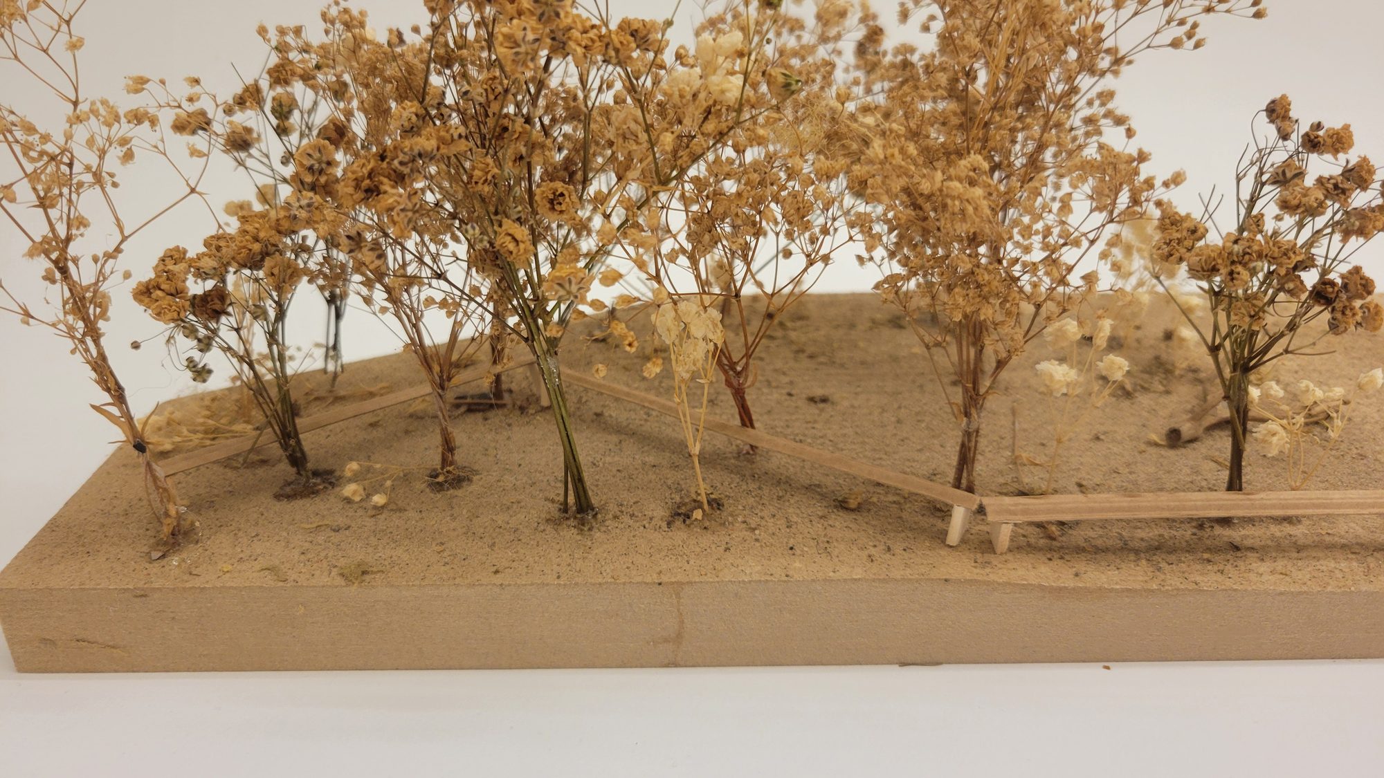 site, matter, & ecology, image 20