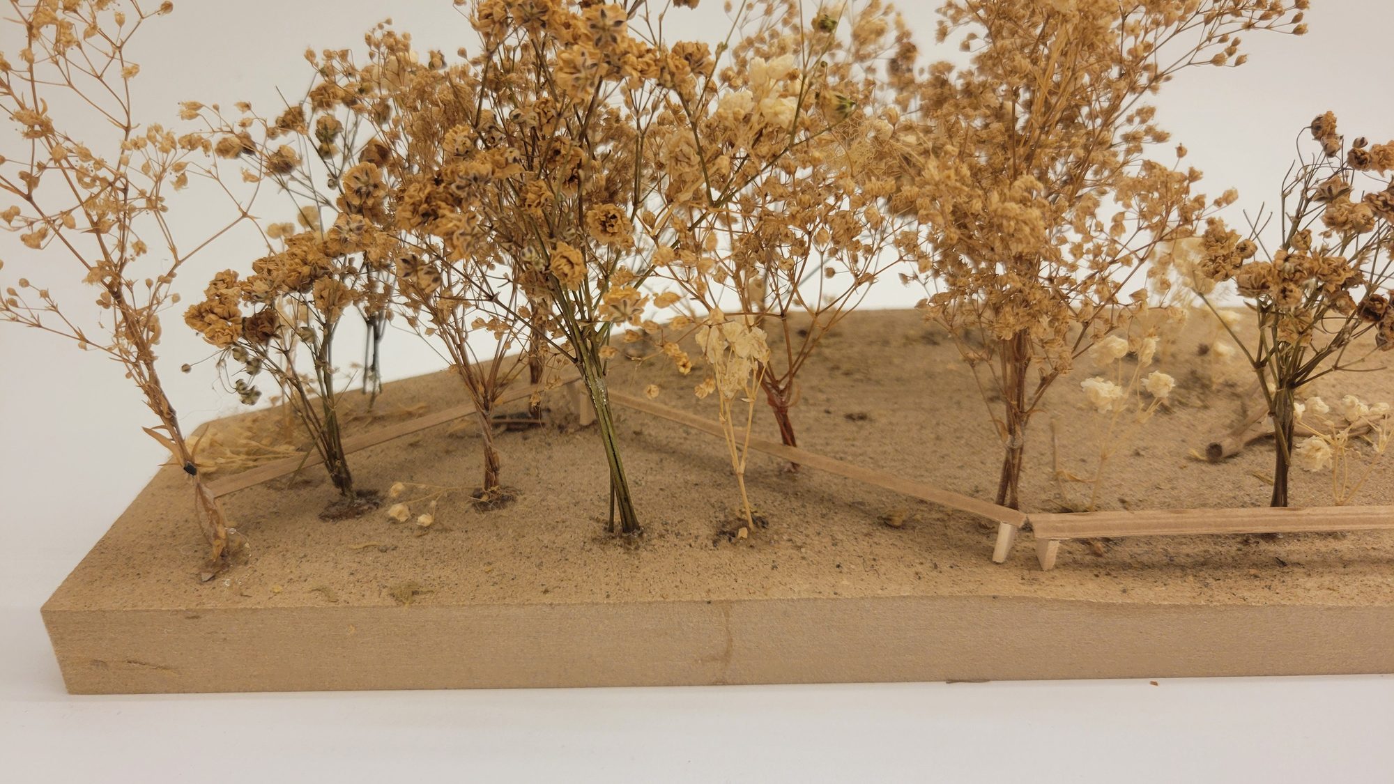 site, matter, & ecology, image 21