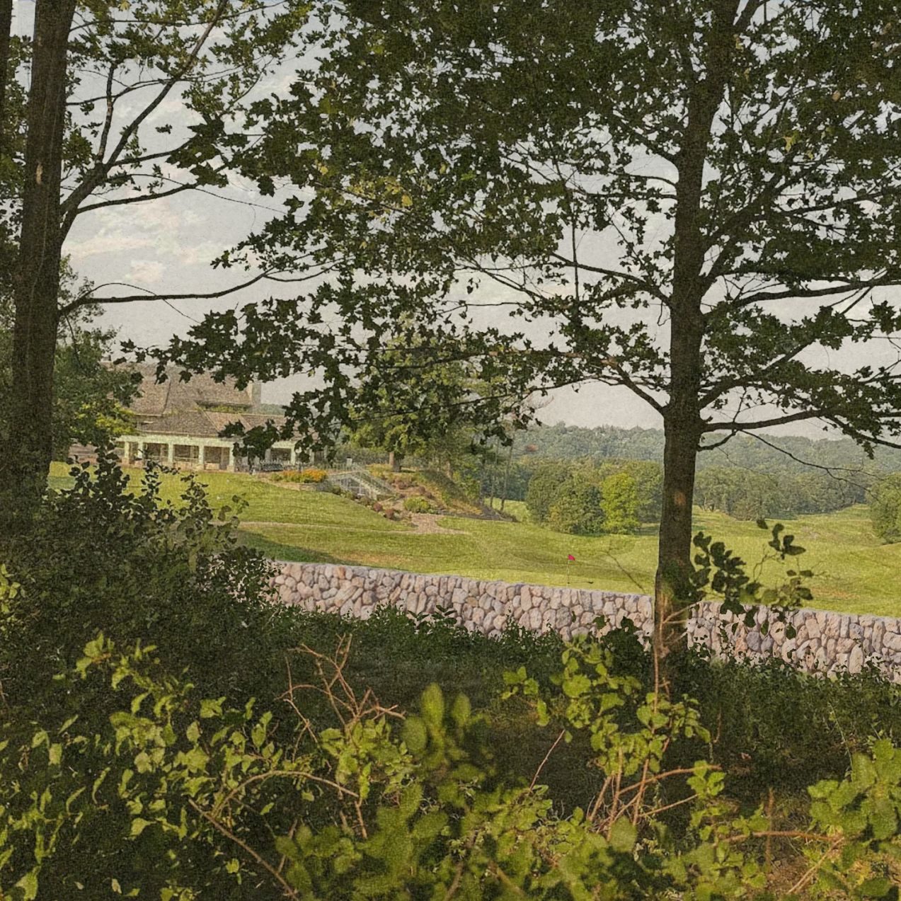 MArch thesis: golf course autogestion, image 16