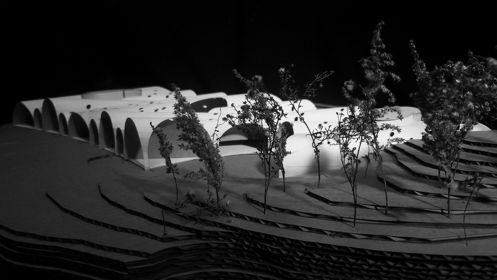 vaulted gallery of whimsey, image 12