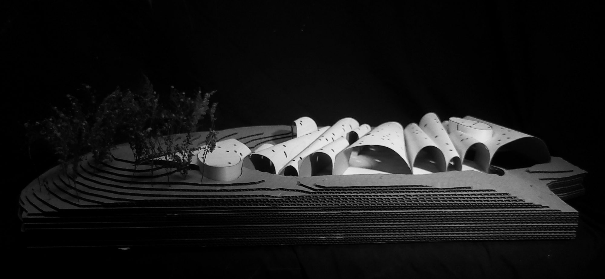 vaulted gallery of whimsey, image 13