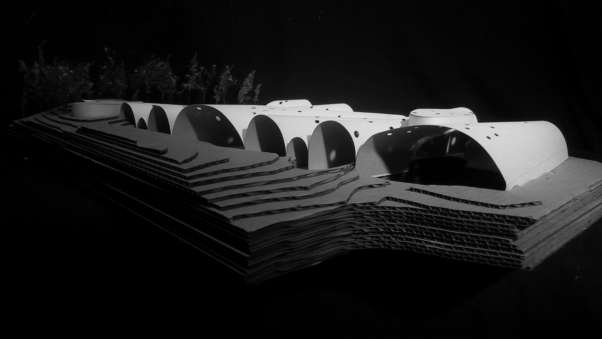 vaulted gallery of whimsey, image 14