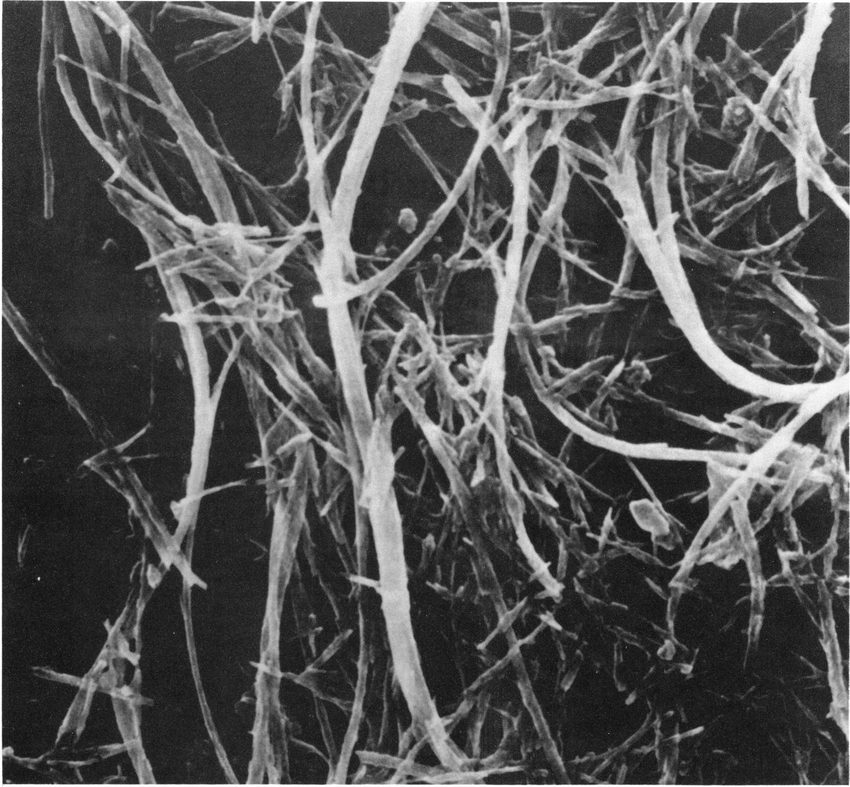 weaving exploration, image 4